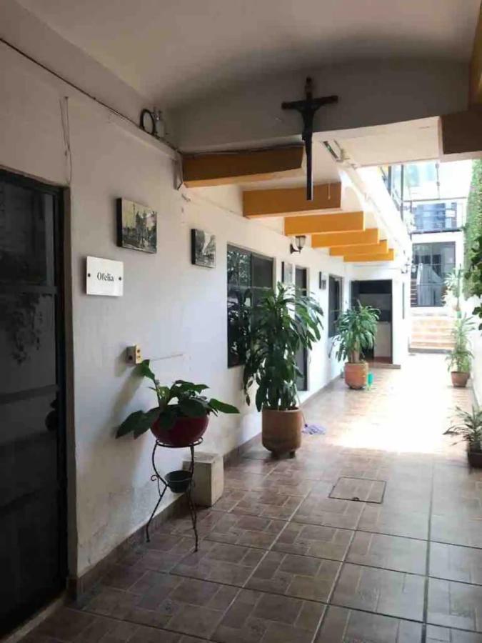 Cute Apart Excellently Located Oaxaca Exterior foto