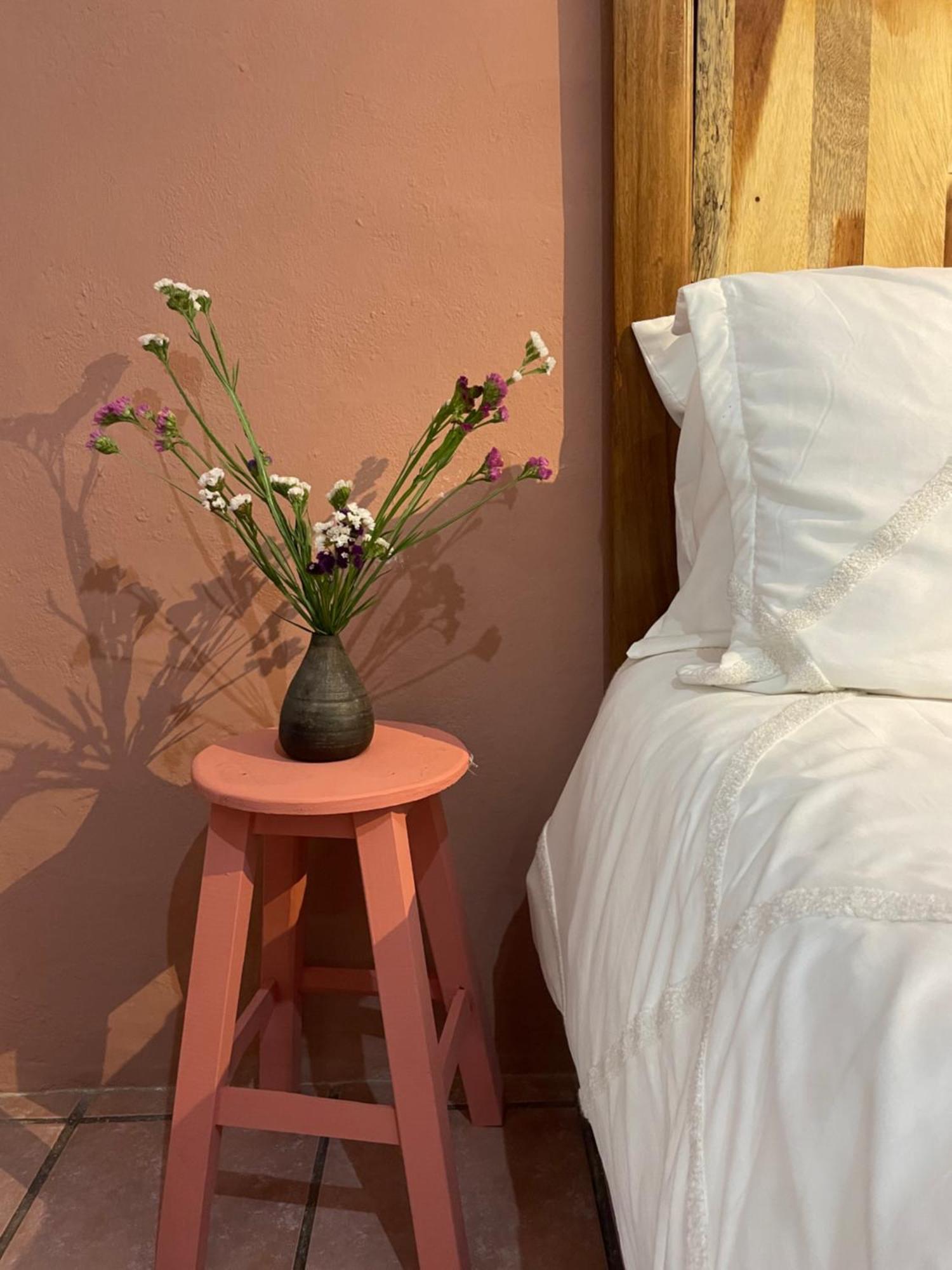 Cute Apart Excellently Located Oaxaca Exterior foto